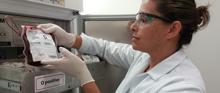  Hemocomponentes são armazenados depois de processados, classificados e com qualidade atestada 