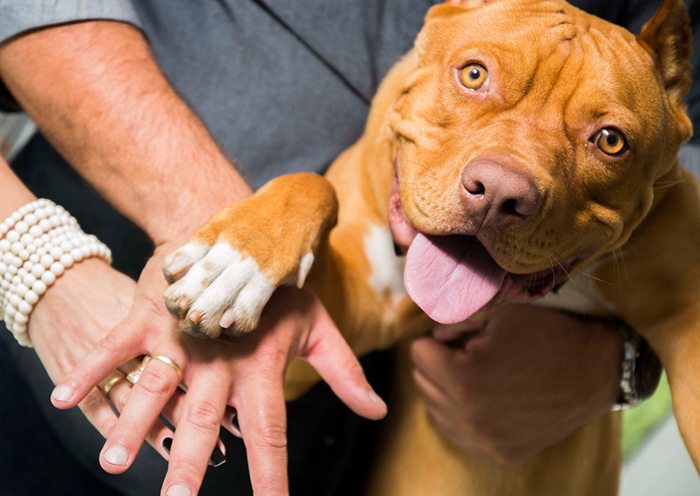 Click Unimed Thais Lima