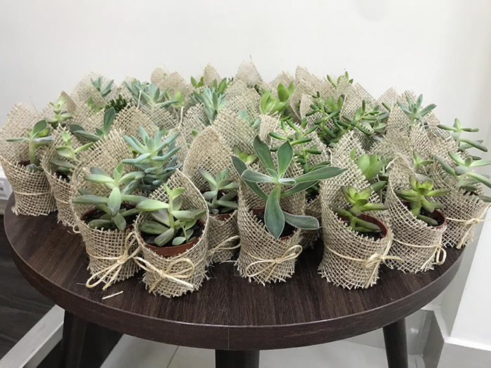 bmansa-ed33-mat2 (1)