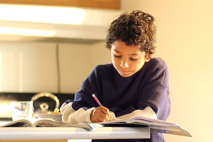 Boy doing homework
